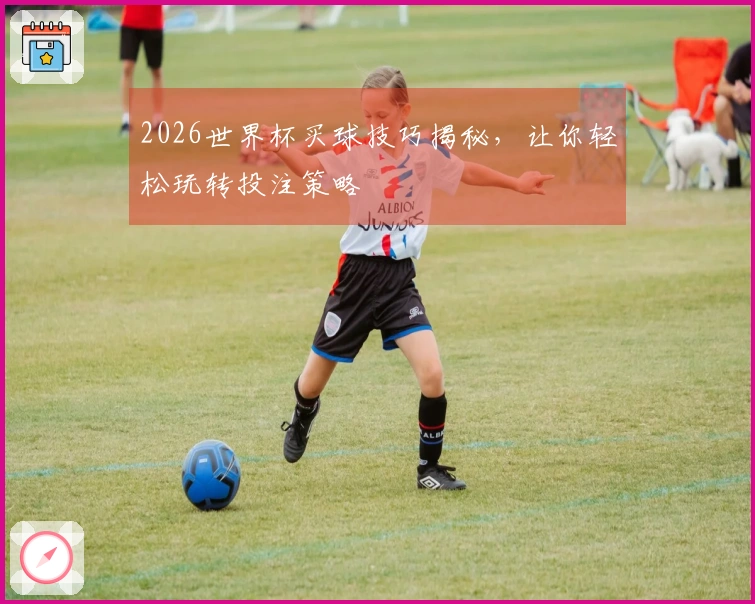 2026世界杯买球技巧揭秘，让你轻松玩转投注策略