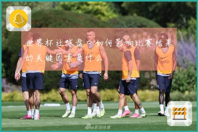 世界杯让球盘口如何影响比赛结果的关键因素是什么