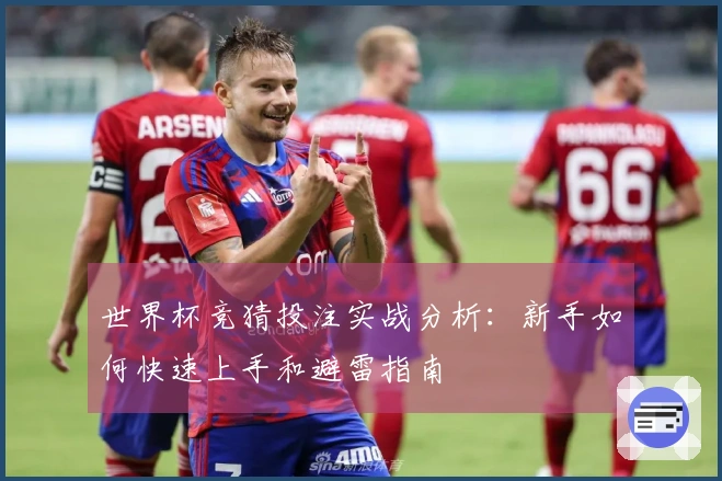 世界杯竞猜投注实战分析：新手如何快速上手和避雷指南