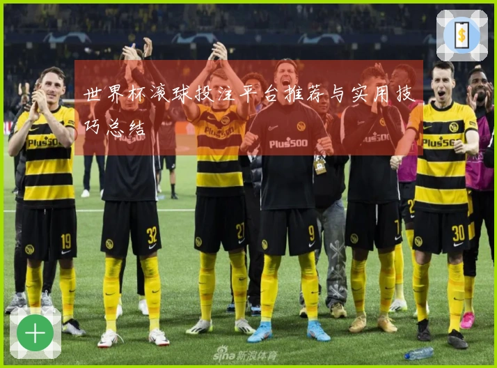 世界杯滚球投注平台推荐与实用技巧总结