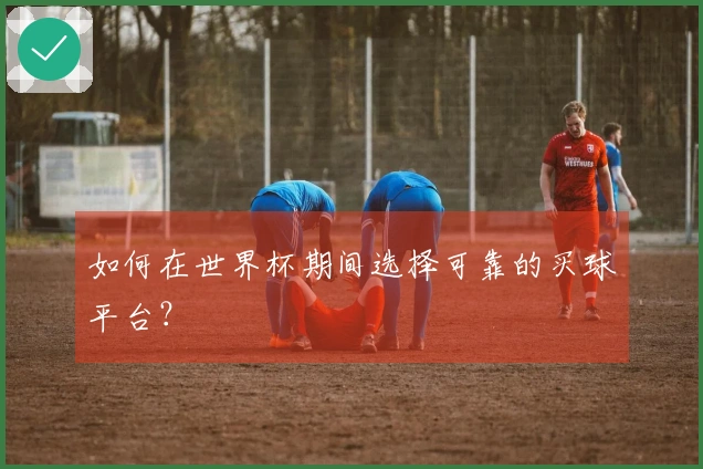 如何在世界杯期间选择可靠的买球平台？