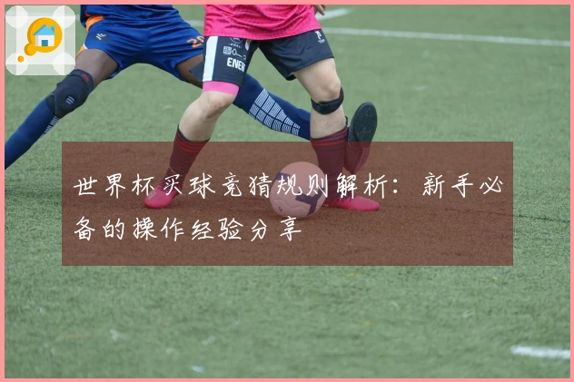 世界杯买球竞猜规则解析：新手必备的操作经验分享