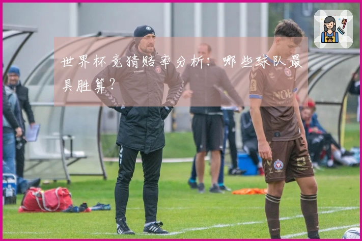 世界杯竞猜赔率分析：哪些球队最具胜算？