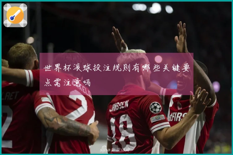 世界杯滚球投注规则有哪些关键要点需注意吗