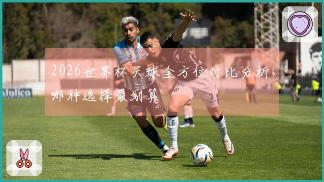 2026世界杯买球全方位对比分析，哪种选择最划算