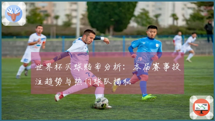 世界杯买球赔率分析：本届赛事投注趋势与热门球队揭秘