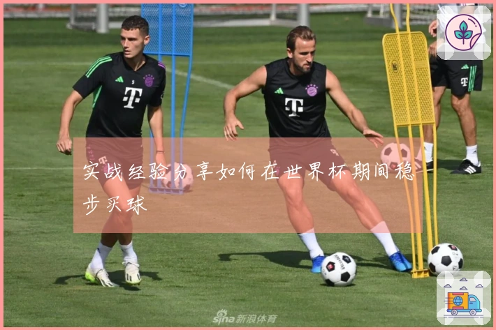 实战经验分享如何在世界杯期间稳步买球
