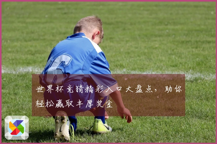 世界杯竞猜精彩入口大盘点，助你轻松赢取丰厚奖金